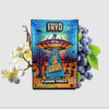 Plasma Punch Fryd Gummies