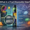 What Is Fryd Disposable