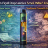 Do Fryd Disposable Smell