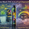 How Much THC Is In Fryd Disposable