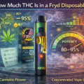 How Much THC Is In Fryd Disposable